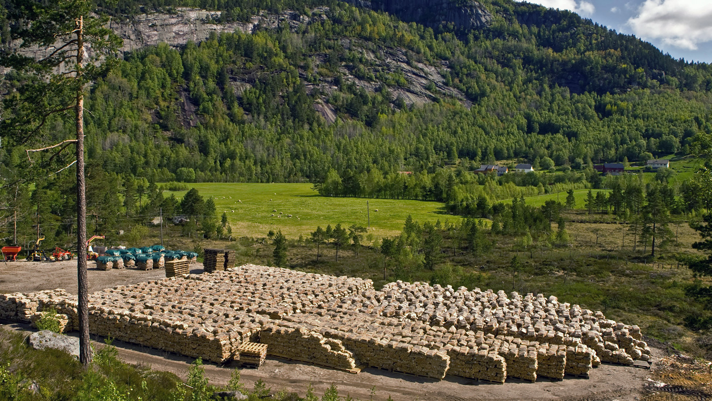 Norge er selvforsynt med ved